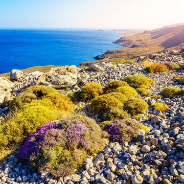 Xerokambos coastline