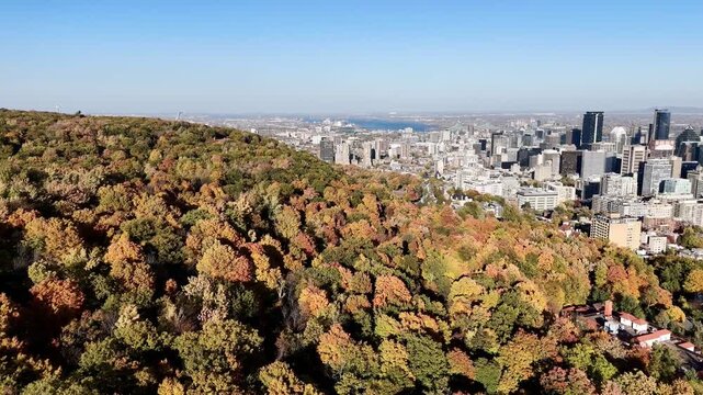 Aerial view of Mount Royal Park and downtown Montreal during vibrant autumn foliage, Quebec, Canada. g.