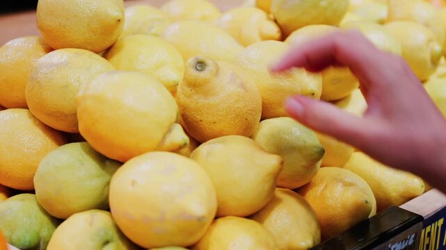 Person picking fresh ripe yellow lemons at grocery store supermarket shelf.