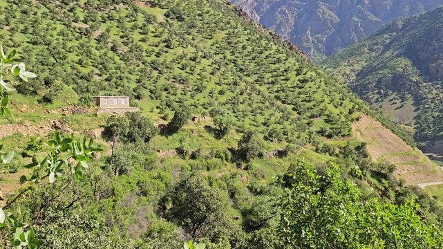 Solitary house perches on a lush green mountainside above a distant river, framed by dramatic layered ridges and rugged spring peaks.
📍 Hawraman Takht, Kurdistan, Iran 
