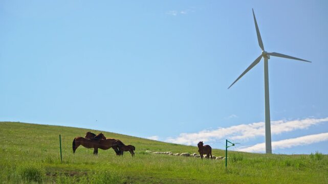 A heartwarming moment with a group of horses on the grassland.