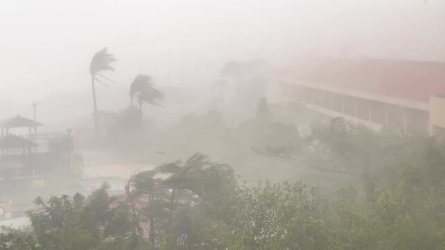 Severe Hurricane Eyewall Brings Powerful Winds and Driving Rain - Koinu