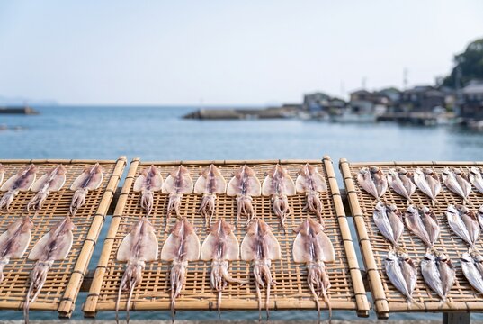 海岸の干し場で竹すだれに広げられたイカと魚の天日干し