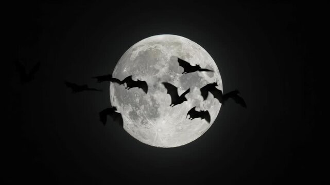 Silhouettes of bats flying across detailed full moon in dark night sky