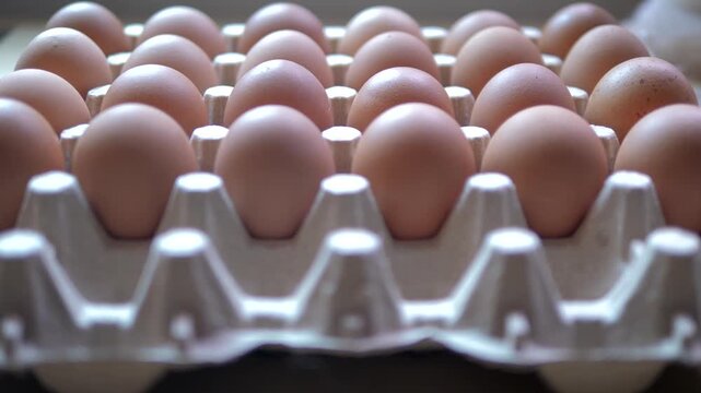 Close-up video of a hand selecting a brown chicken egg from a carton filled with fresh eggs, Egg handling and inspection 