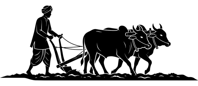 Traditional indian farmer plowing a field with a pair of oxen in a black silhouette style