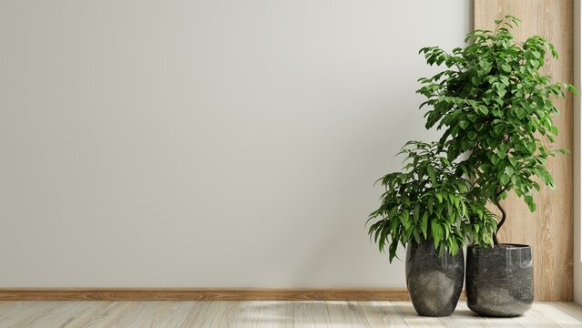 Blank white wall mockup with potted green plants and wooden elements in modern interior- 3D rendering