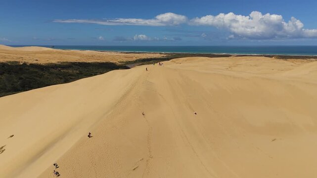 Thrill-seekers slide down steep slope of Giant Sand dunes of Northland, aerial