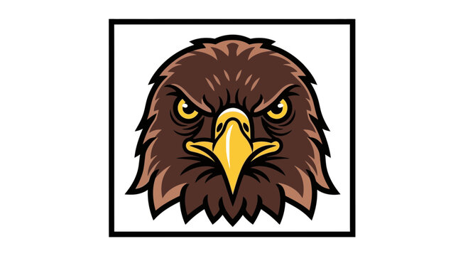 angry eagle head, bird of prey
