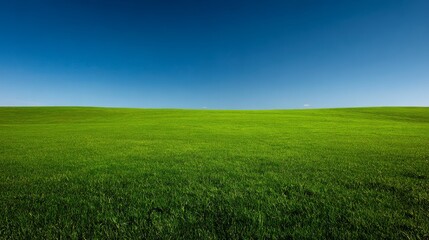Obraz premium A panoramic stock photograph of a pristine nature scene. A perfectly manicured green lawn stretches out to meet a gradient blue sky. No trees or buildings are visible, just the simple contrast