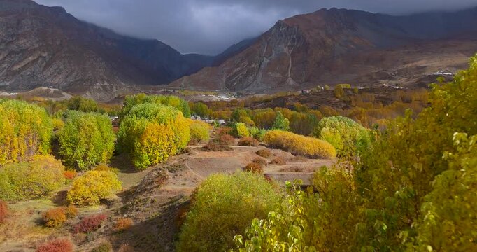 Annapurna Circuit, Mustang, Nepal, Aerial shot over bright yellow and orange autumn trees toward a remote valley surrounded by barren mountain peaks.