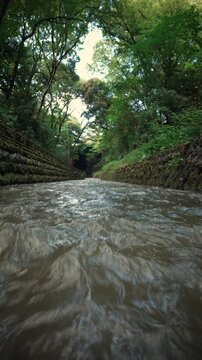 Vertical low angle shot of a fast-flowing river between stone walls in a lush green summer forest with cicada sounds