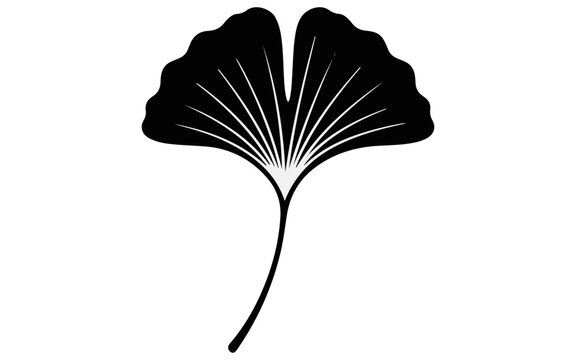 Minimalist ginkgo leaf vector symbol, black silhouette icon, botanical illustration, nature logo design element, Japanese tree leaf graphic isolated on White Background