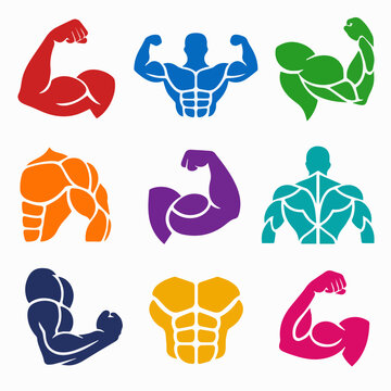 A collection of colorful flat vector icons depicting muscular human anatomy and fitness.