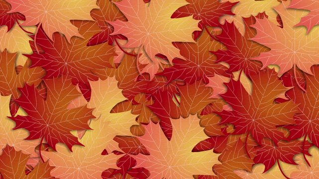 autumn maple leaves transition on transparent background, alpha channel