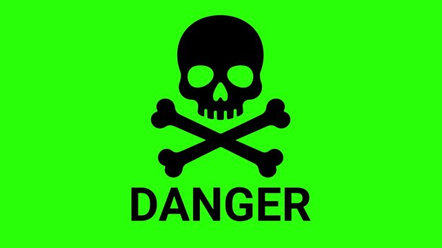 Danger skull animated pulsing warning symbol icon in 4k green screen background