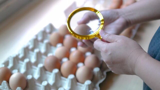 Close up of a hand using a magnifying glass to inspect fresh brown eggs in a carton, representing quality control, food inspection, and agricultural production