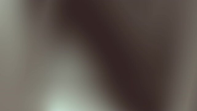Soft abstract background in shades of gray, white, and dark brown, perfect for web design, presentations, and print materials.