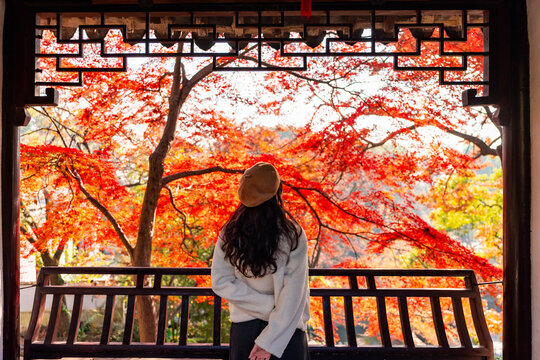 Young female tourist relaxing and enjoying the view of red maple leaves during the autumn foliage season at Suzhou, China