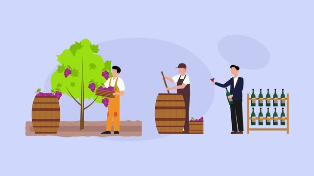Wine Making Process from Grape Harvesting to Fermentation and Tasting cartoon animation