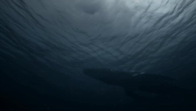 Mythical leviathan sea creature swimming in deep dark water