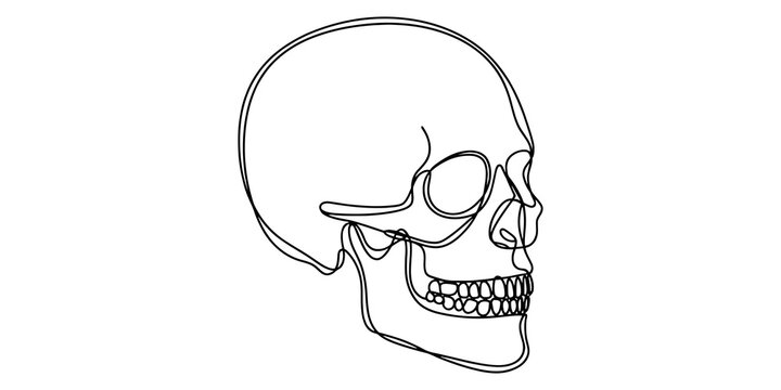 Minimalist continuous line art drawing of a human skull side view
