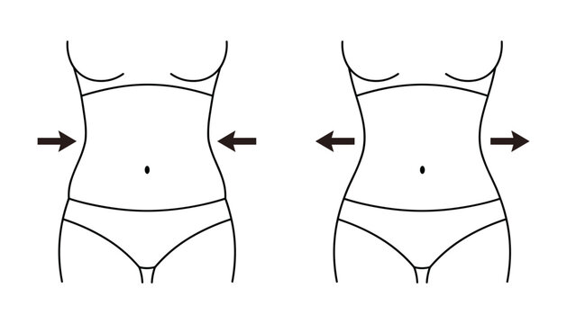 Female waist weight loss and gain comparison vector line icons showing body shape transformation with directional arrows