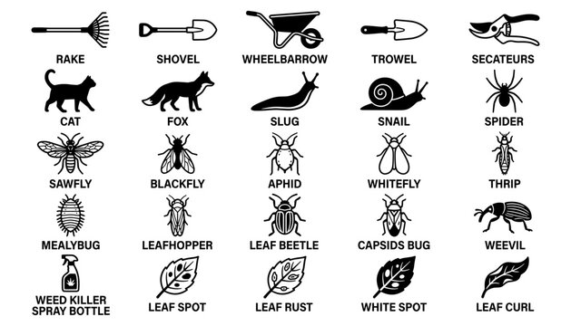 Garden tools and backyard insects pests collection vector solid black glyph icons set with descriptive text labels