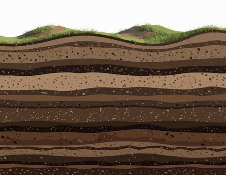 Cross-Section of Soil Layers with Grassy Surface Illustration