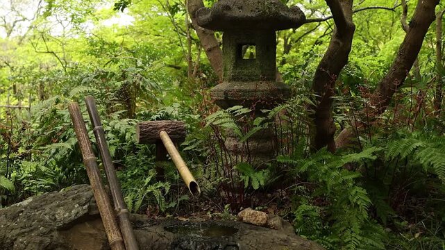 Traditional Japanese garden with an old stone lantern surrounded by lush green plants, ferns and trees. Peaceful travel background with calm zen atmosphere.