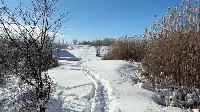 Winter rural landscape quiet country scene covered in fresh snow