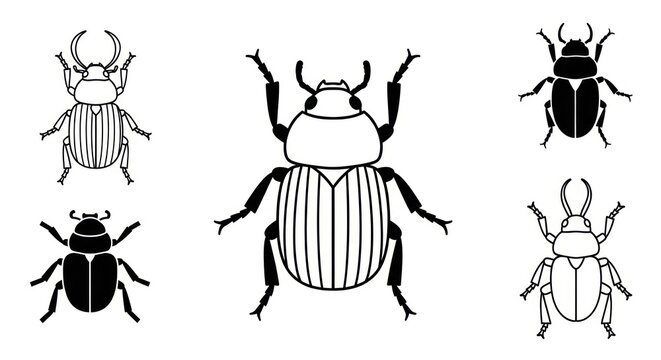 Black and white beetle insect illustrations.