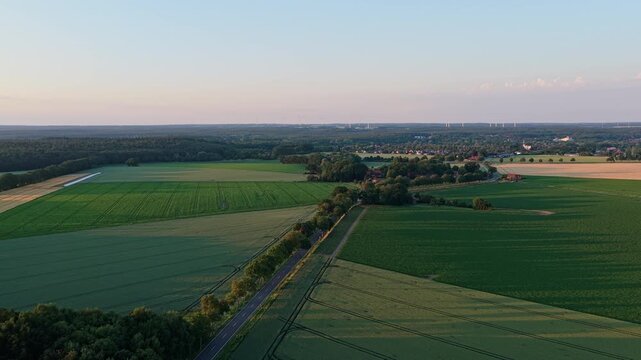 Crop plantation at farm. Agriculture and cultivation. Aerial top view on green crop field. Nature environment. Green harvest in field. Summer green field. Agricultural aerial landscape