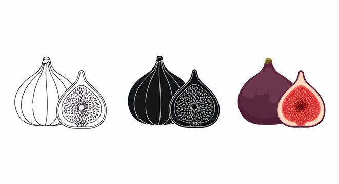 Fresh fig fruit vector icon set: Clipart, sticker - icon set, logo template - SVG and PNG icons - flat icon set
