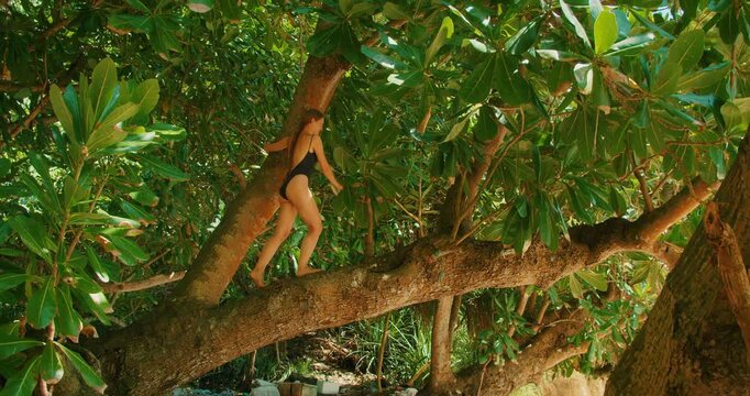 Woman climbing on large tropical tree at Kelingking beach Nusa Penida Island Bali