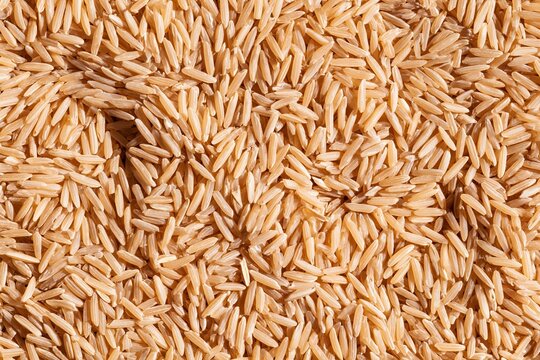 Long grain dry rice filling the surface with a polished sheen and organic texture, ideal for food packaging and ingredient backgrounds