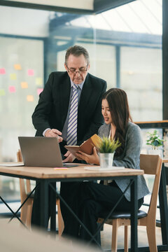Experienced business coach providing guidance to a young professional woman during an office meeting, fostering collaboration and learning
