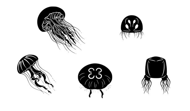 Jellyfish marine animals black silhouette vector collection with varied tentacle shapes