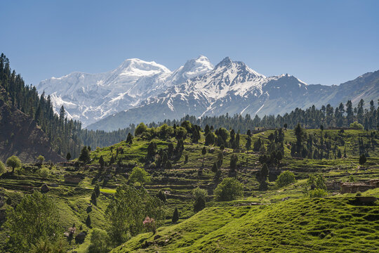 Rural mountain landscape view on mighty Nanga Parbat from lush Rama valley, Astore, Gilgit-Baltistan, Pakistan