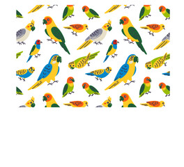 Obraz premium Pet birds seamless pattern with flat cartoon cockatiels, budgerigars, lovebirds and Gouldian finches. Vector illustration for exotic bird species and aviary theme, cute pet birds background