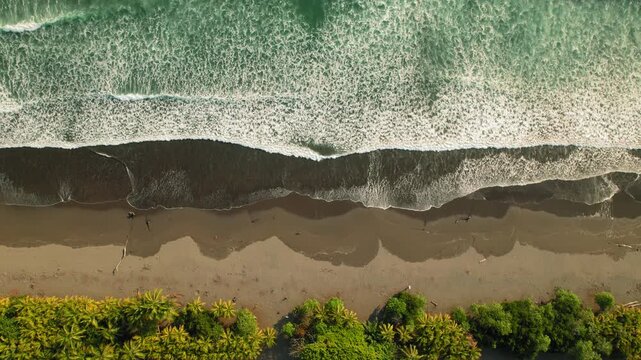 Aerial view of ocean waves rolling onto sandy beach with palm trees Costa Rica