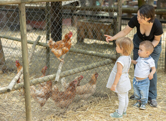 Positive mother with two children sitting near chicken coop talking about caring for poultry during visit to village farm © JackF