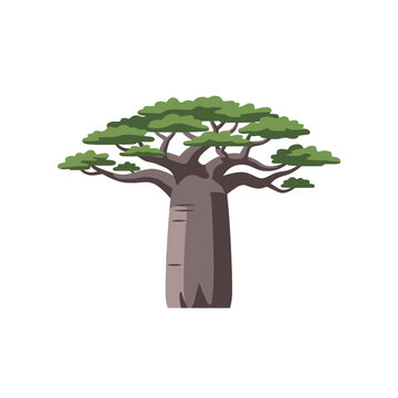 Iconic Baobab Tree Illustration African Safari Landscape