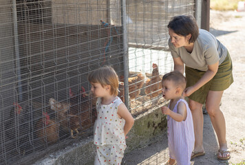 Mother with her children, son and daughter, stand in front of fence and look at hens and chickens on farm, drive to village and get acquainted with local agriculture. © JackF