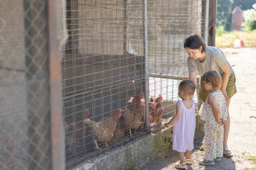 City residents visit farm, mother with her son and daughter view hens on farm, weekend in fresh air in village © JackF