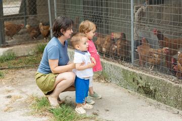 Mother with her children, son and daughter, stand in front of fence and look at hens and chickens on farm, drive to village and get acquainted with local agriculture. © JackF