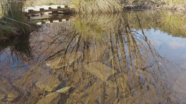 A rustic wooden footbridge crosses a calm creek surrounded by native grasses and leafless trees. The river reflects a tree on a sunny day in New Zealand.