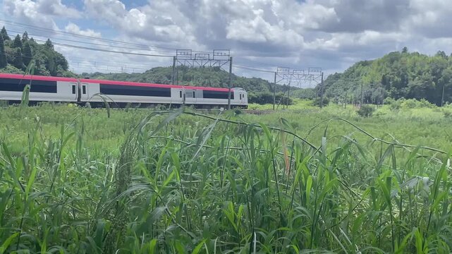 特急列車と貨物列車が行き交う田園