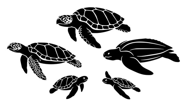 Diverse sea turtle species marine animal black silhouette vector illustration set