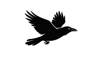 Fototapeta premium Black Flying Raven Bird Silhouette Vector